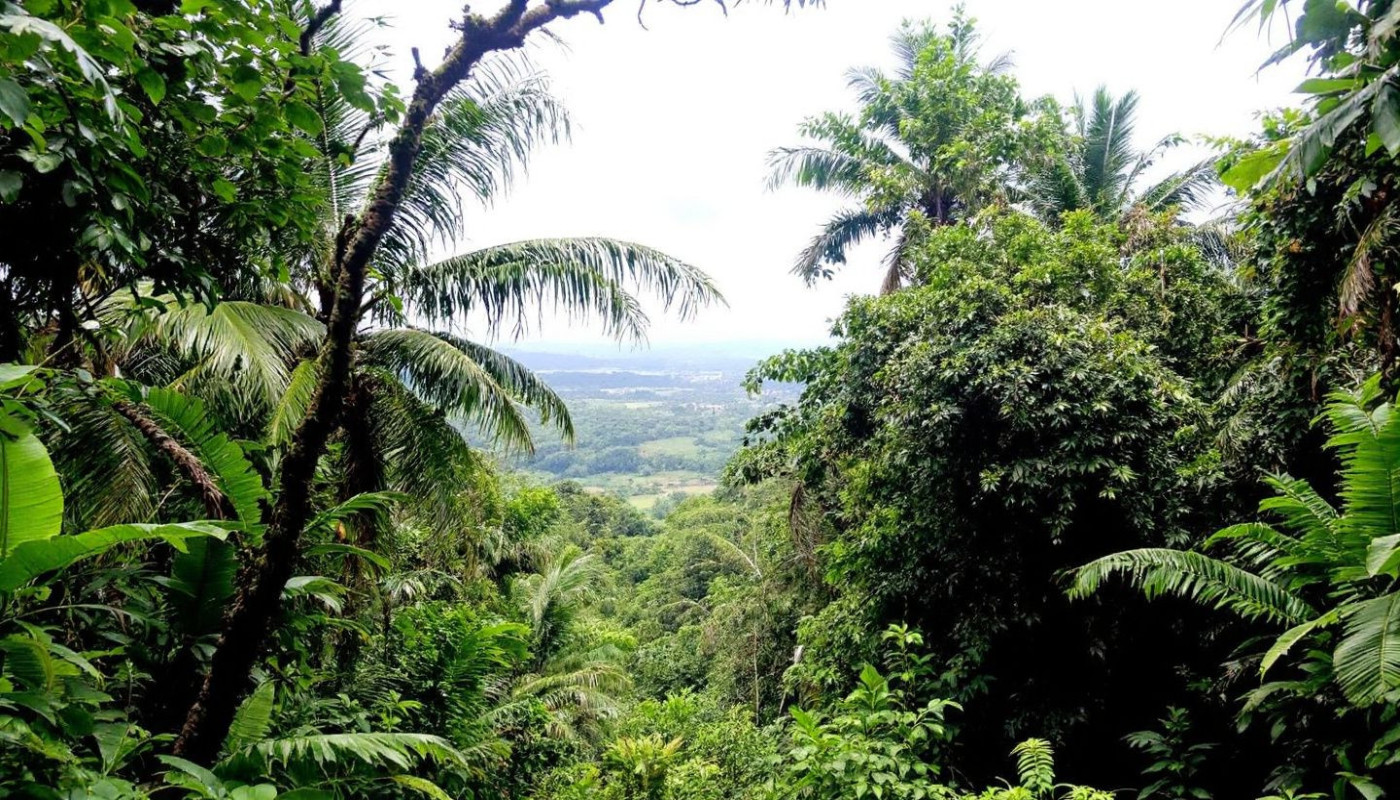 Comment les touristes peuvent naviguer en sécurité parmi les risques à Bali